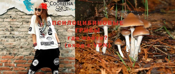 mix Новодвинск