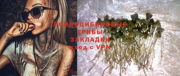 молекула духа Алексеевка