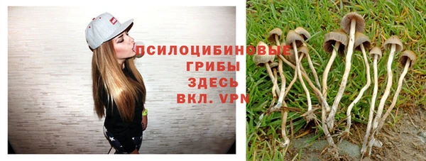 молекула духа Алексеевка
