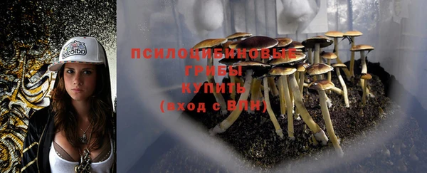 дмт Алексин
